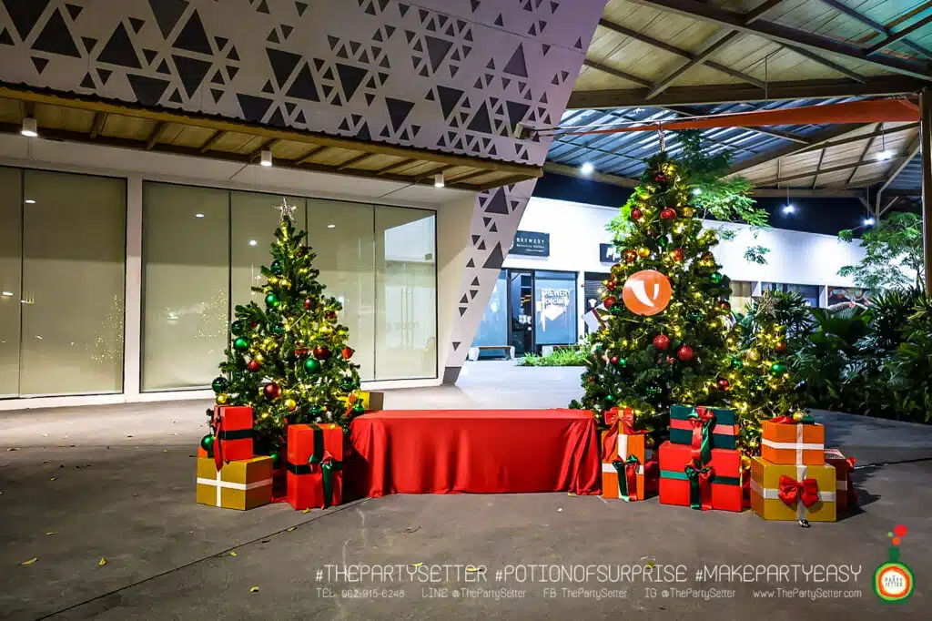 TPS THEME Gallery christmas 1
