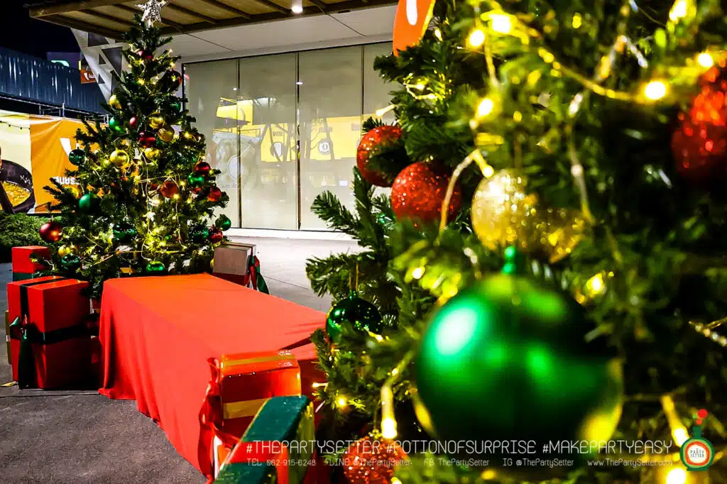 TPS THEME Gallery christmas 2