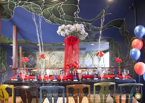 the party setter colorful theme Red Blue 2