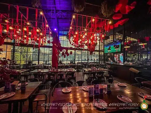 the party setter gallery 1 1