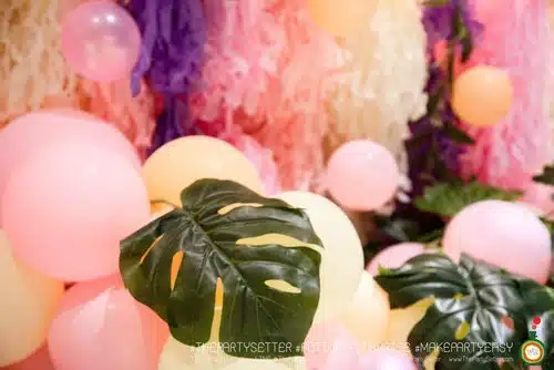 the party setter location Fan Meeting 03 1
