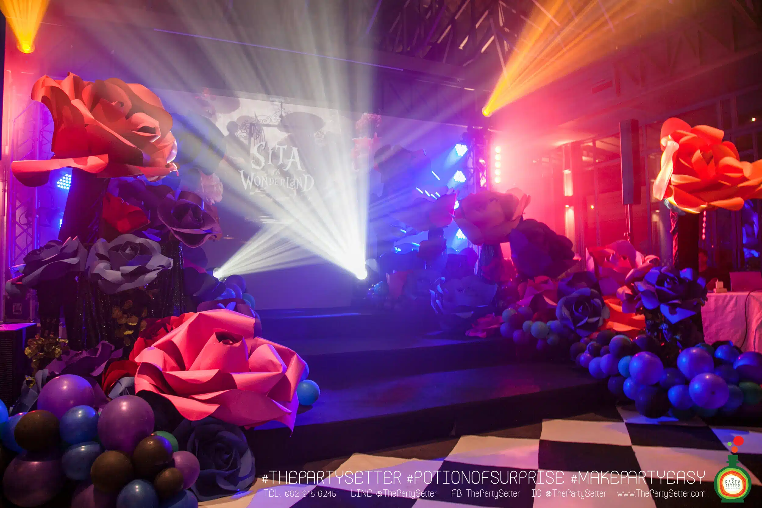 the party setter theme alice in wonserland 12 1
