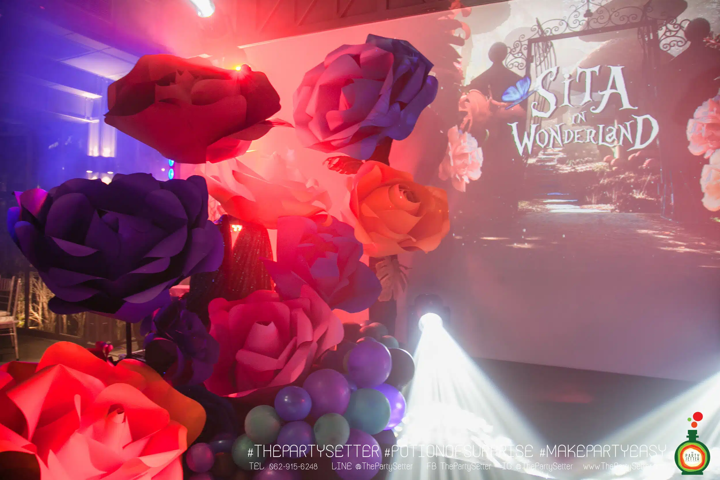 the party setter theme alice in wonserland 14 1