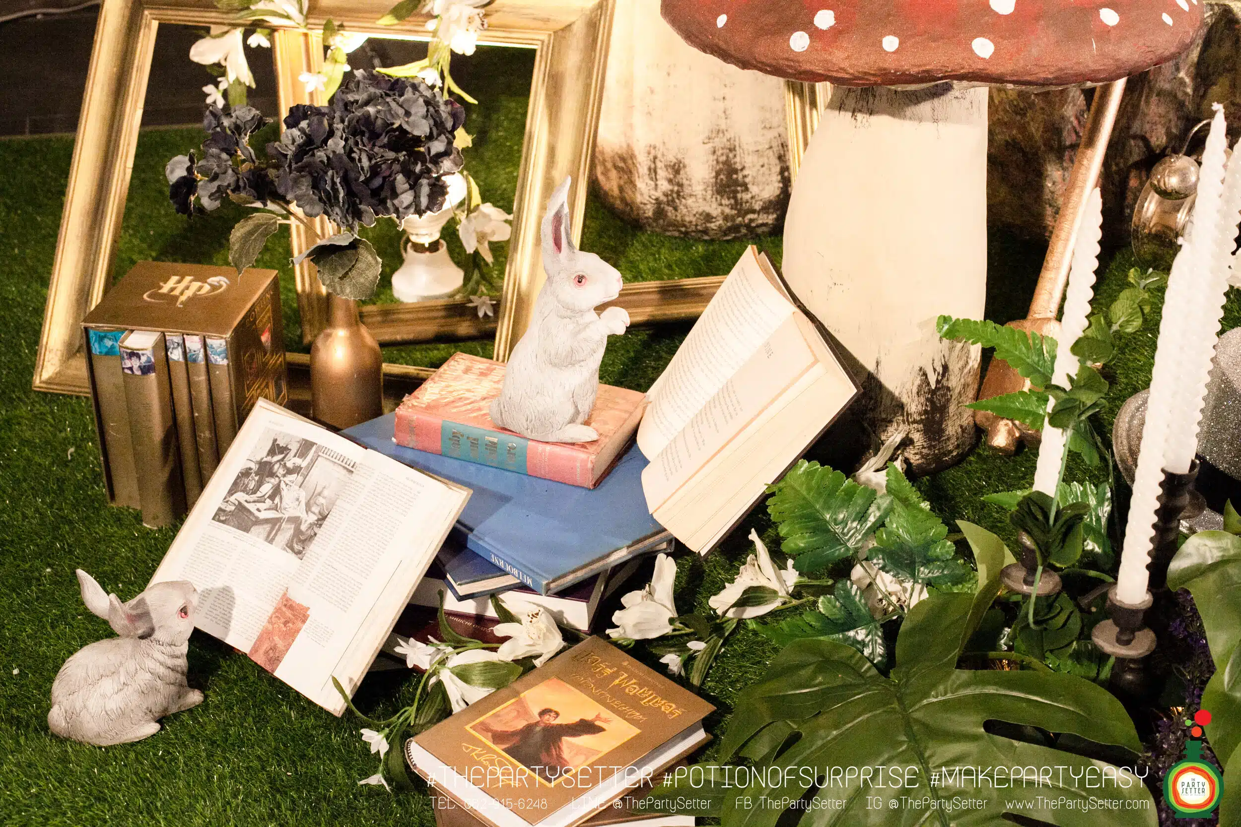 the party setter theme alice in wonserland 5 1