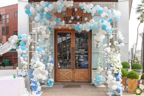 the party setter theme balloon 29