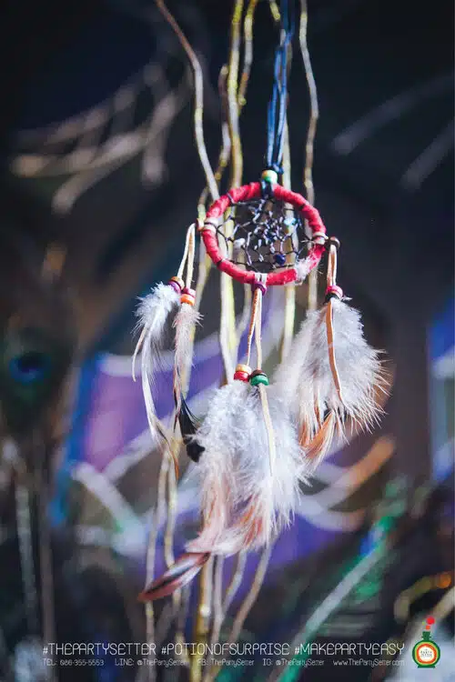 the party setter theme bohemian 32
