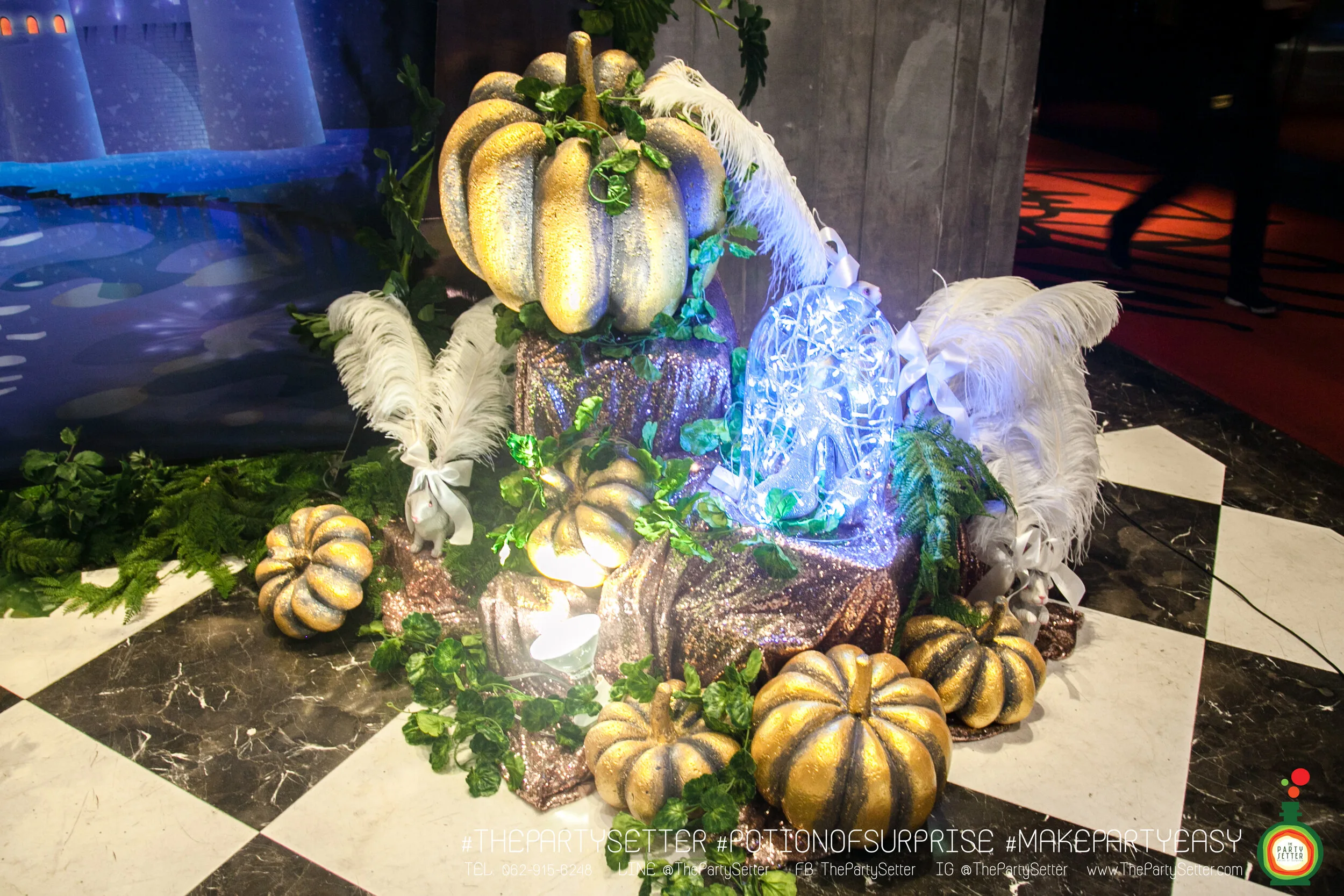 the party setter theme cinderlla 12