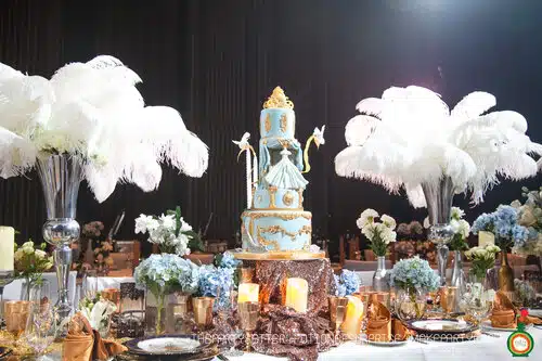 the party setter theme cinderlla 13