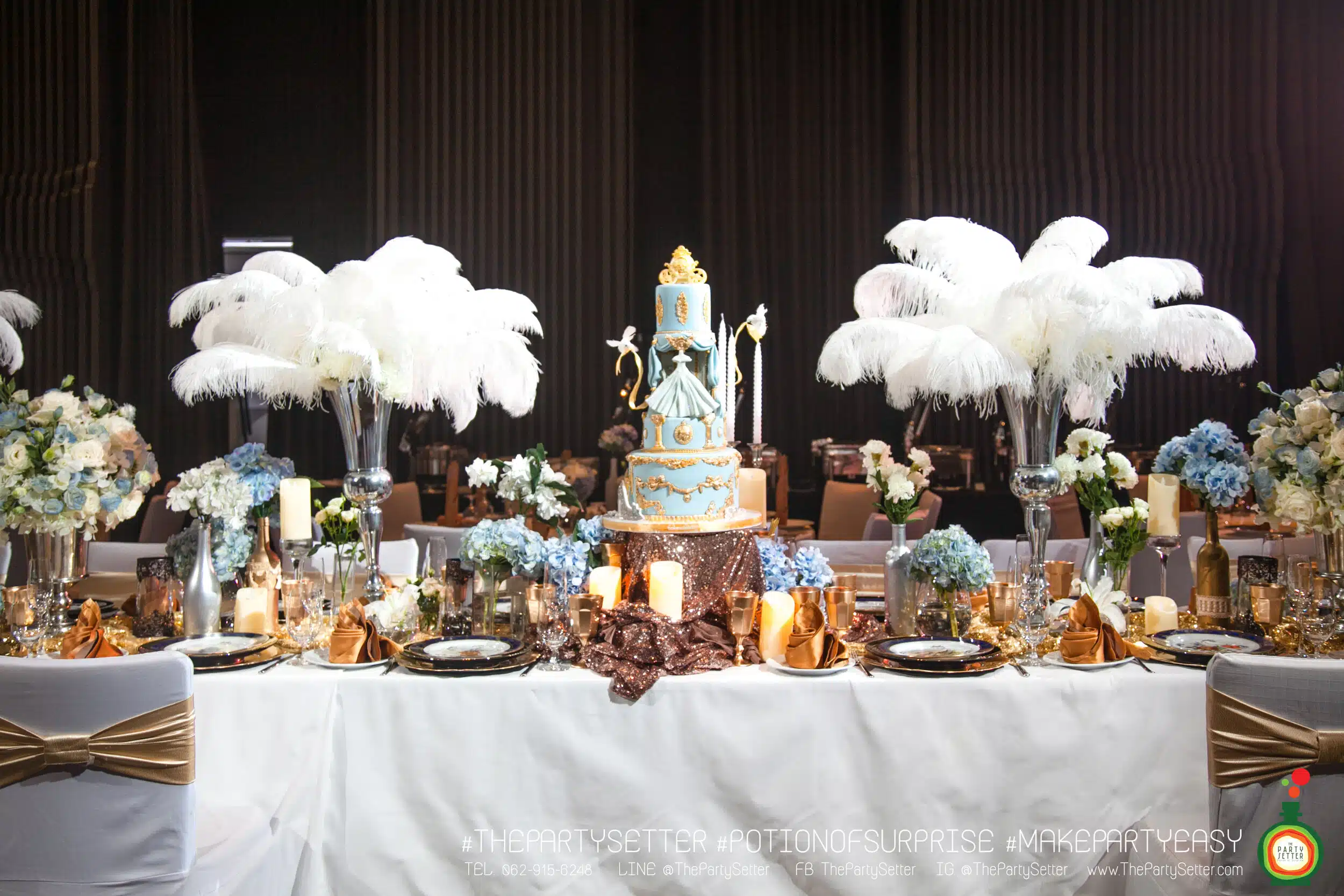 the party setter theme cinderlla 14
