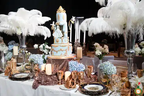 the party setter theme cinderlla 15