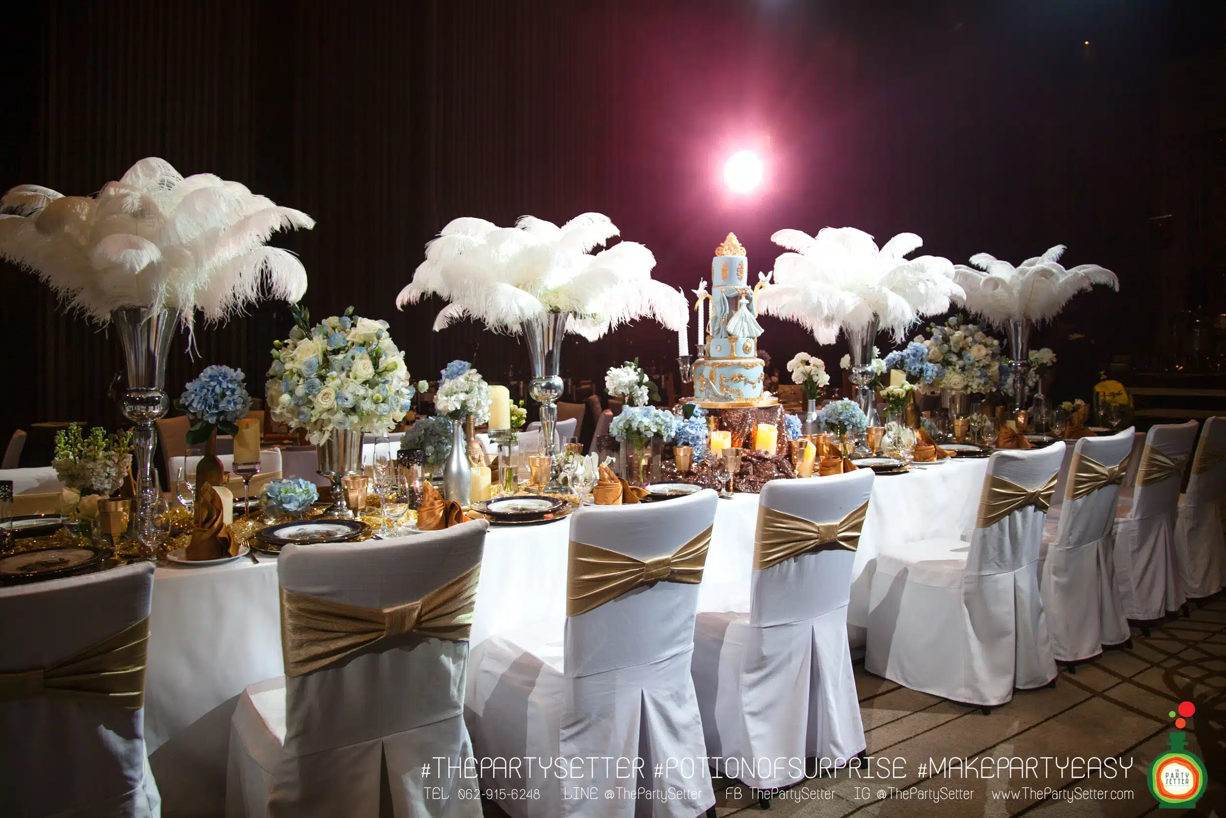 the party setter theme cinderlla 16