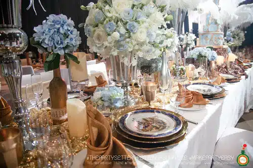 the party setter theme cinderlla 17