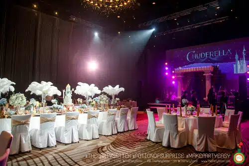 the party setter theme cinderlla 19