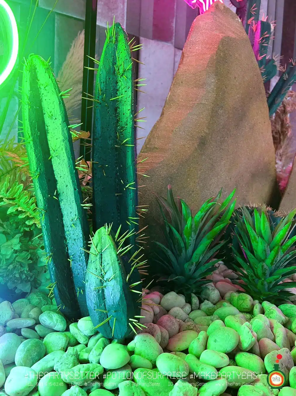 the party setter theme desert fantasy 17