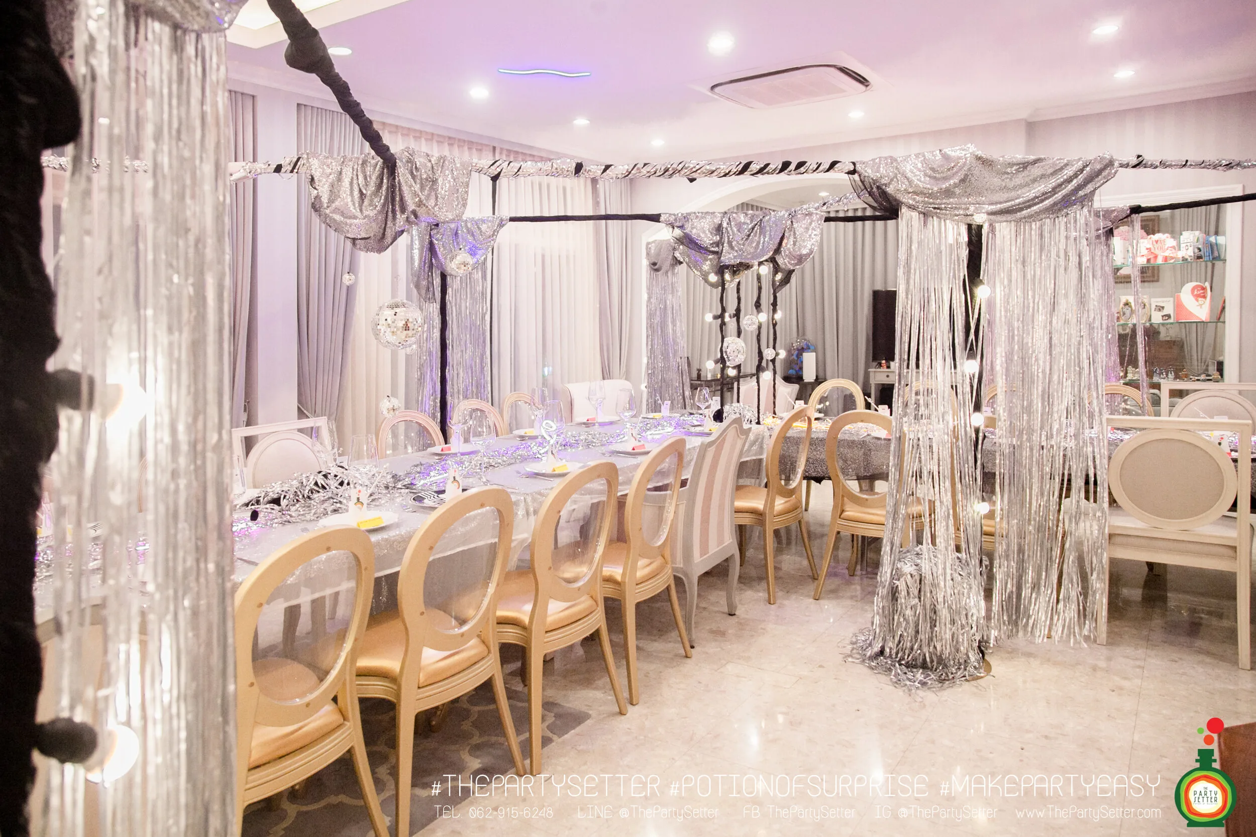 the party setter theme disco 17