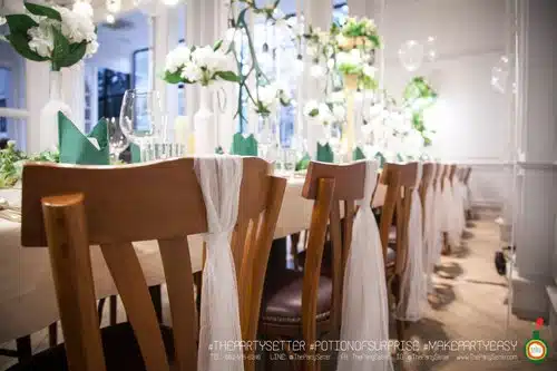 the party setter theme earth tone11