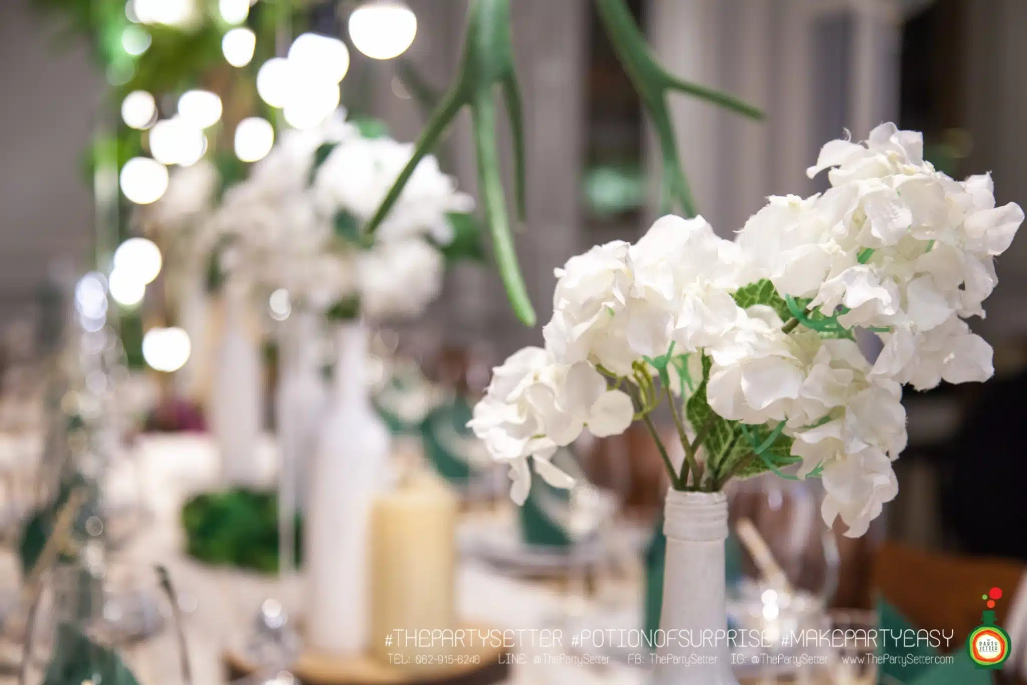 the party setter theme earth tone12