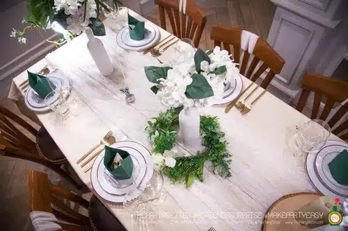 the party setter theme earth tone15