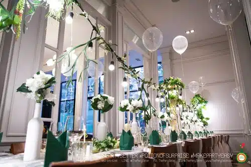 the party setter theme earth tone17