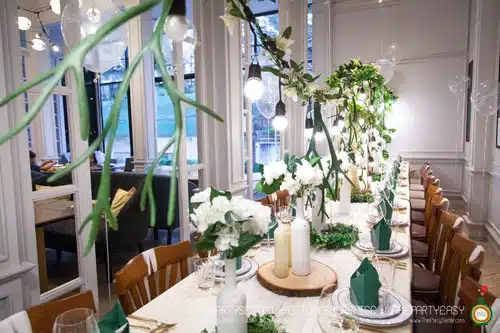 the party setter theme earth tone21