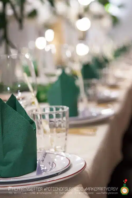 the party setter theme earth tone23