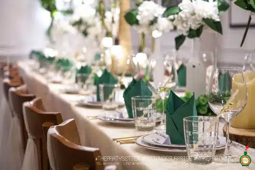 the party setter theme earth tone7