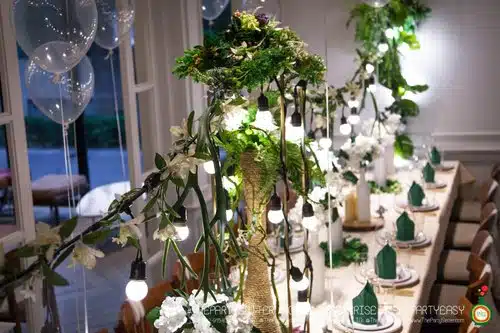 the party setter theme earth tone9