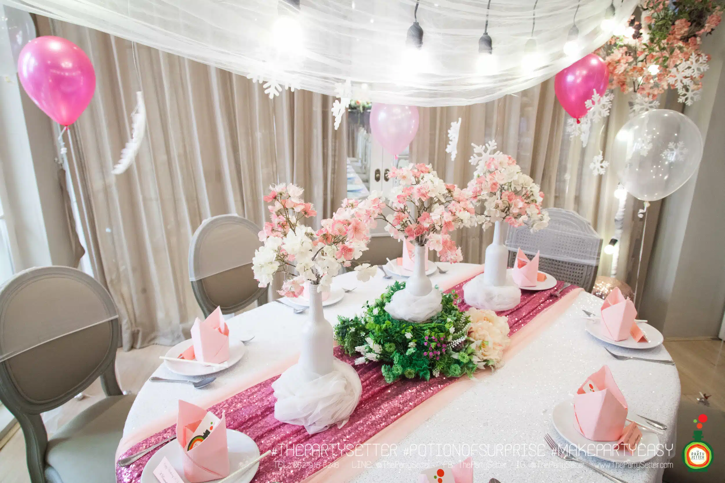 the party setter theme ice princess 10