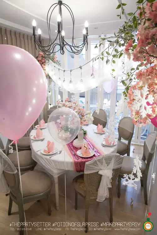 the party setter theme ice princess 12