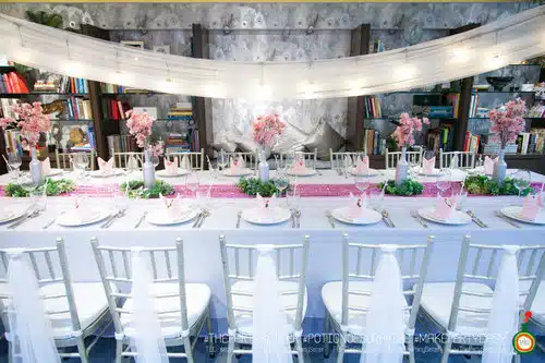 the party setter theme ice princess 17