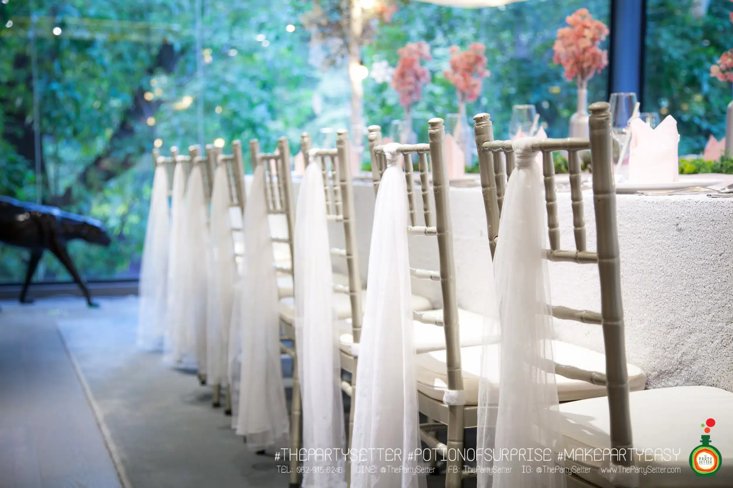 the party setter theme ice princess 18