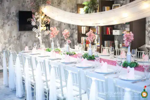 the party setter theme ice princess 19