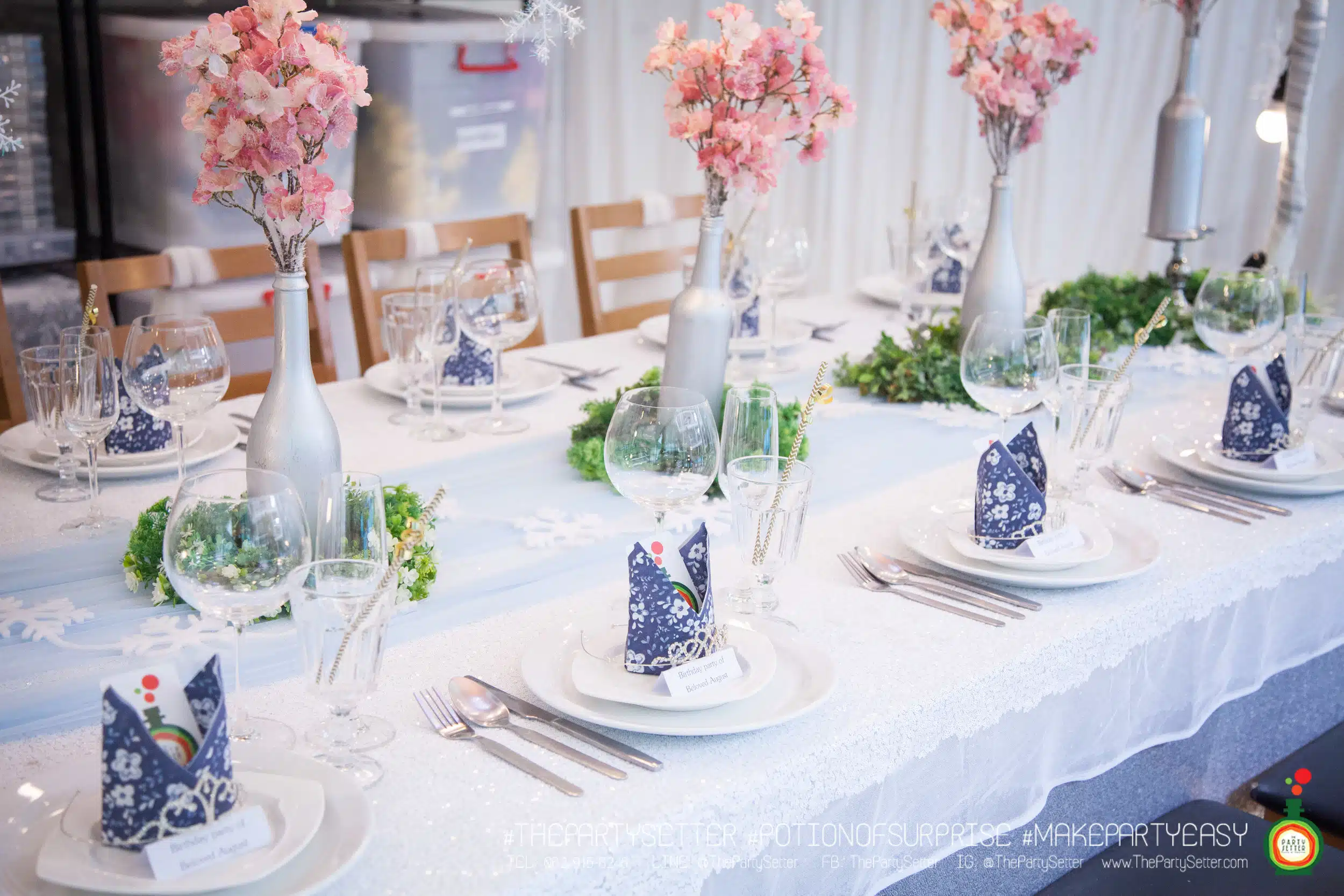 the party setter theme ice princess 22
