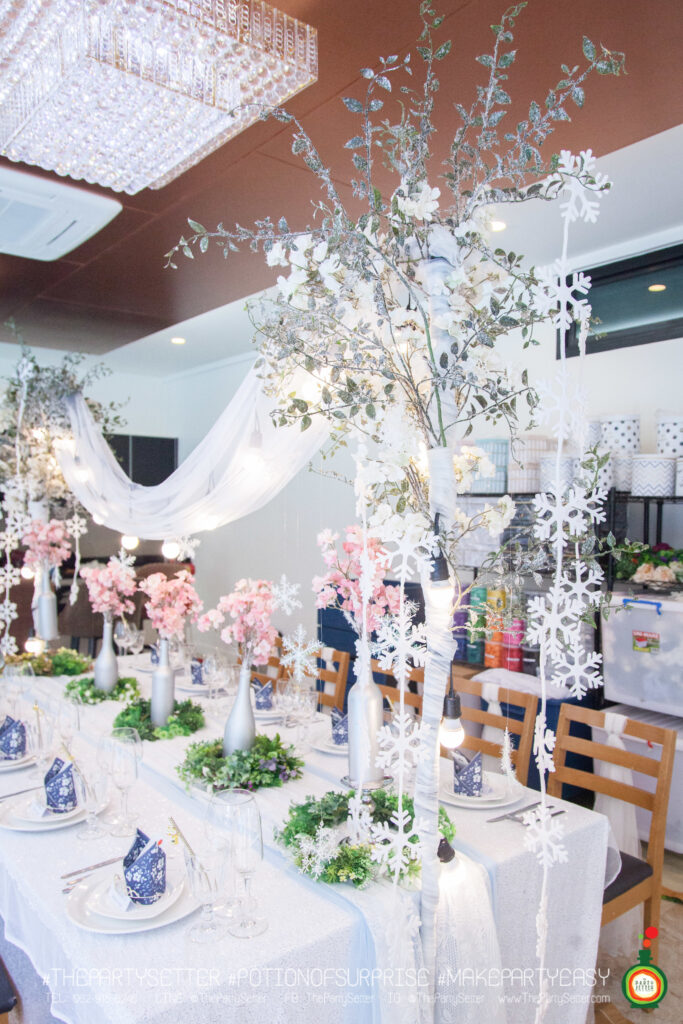 the party setter theme ice princess 24