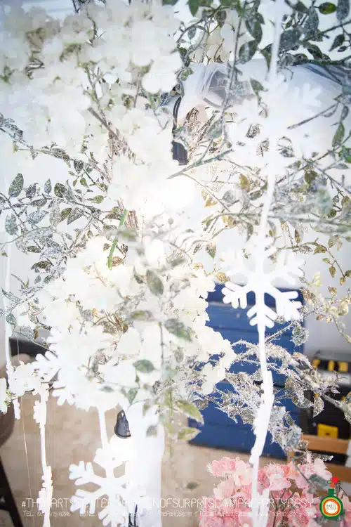 the party setter theme ice princess 25