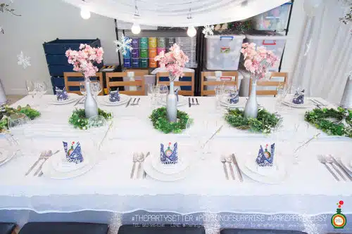the party setter theme ice princess 27