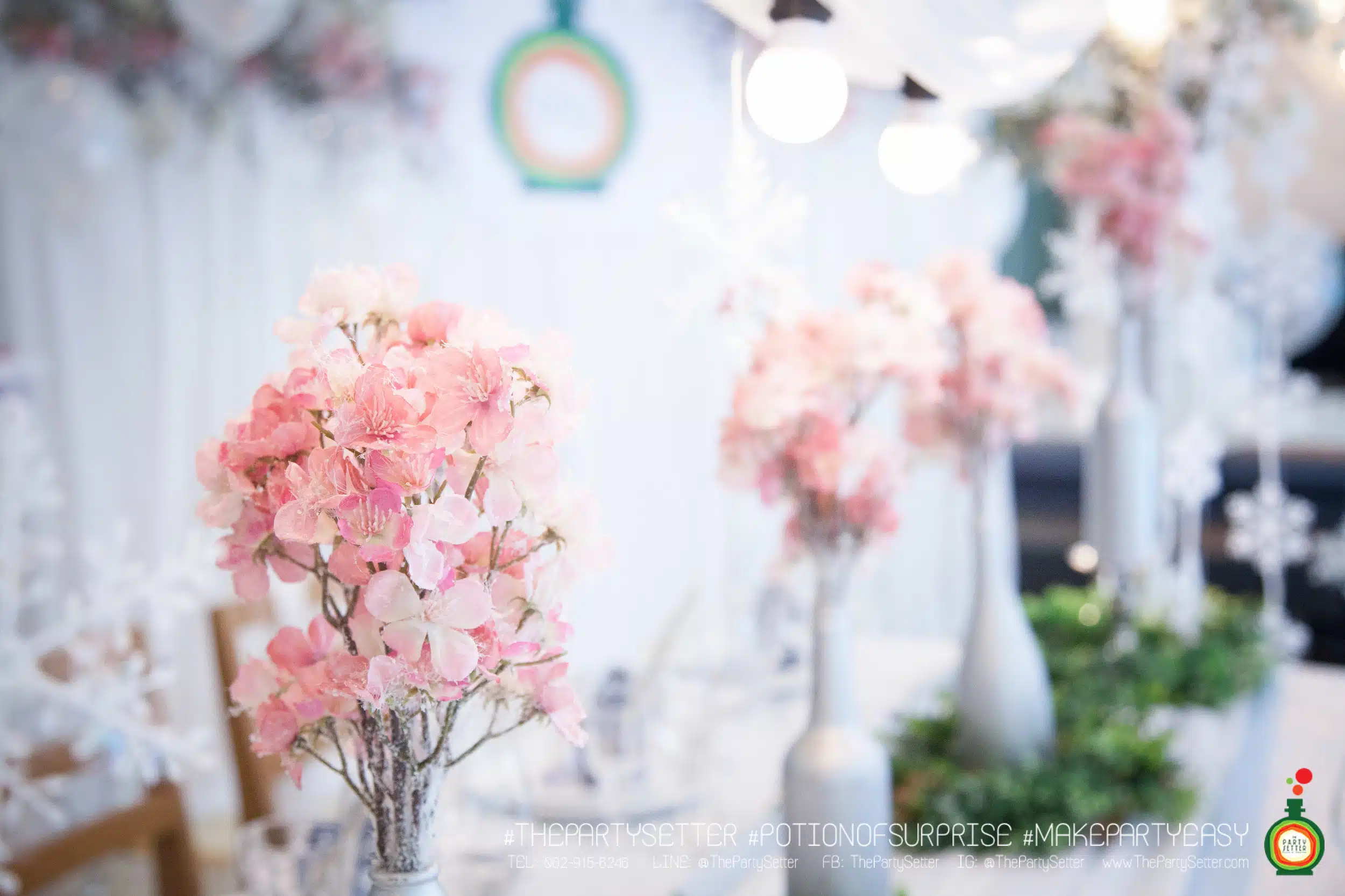 the party setter theme ice princess 28