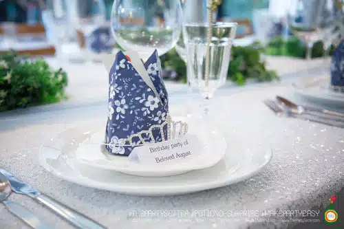 the party setter theme ice princess 29