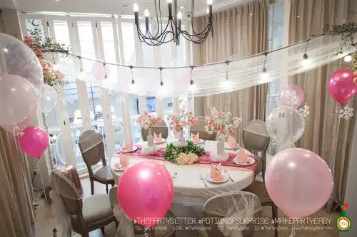 the party setter theme ice princess 3