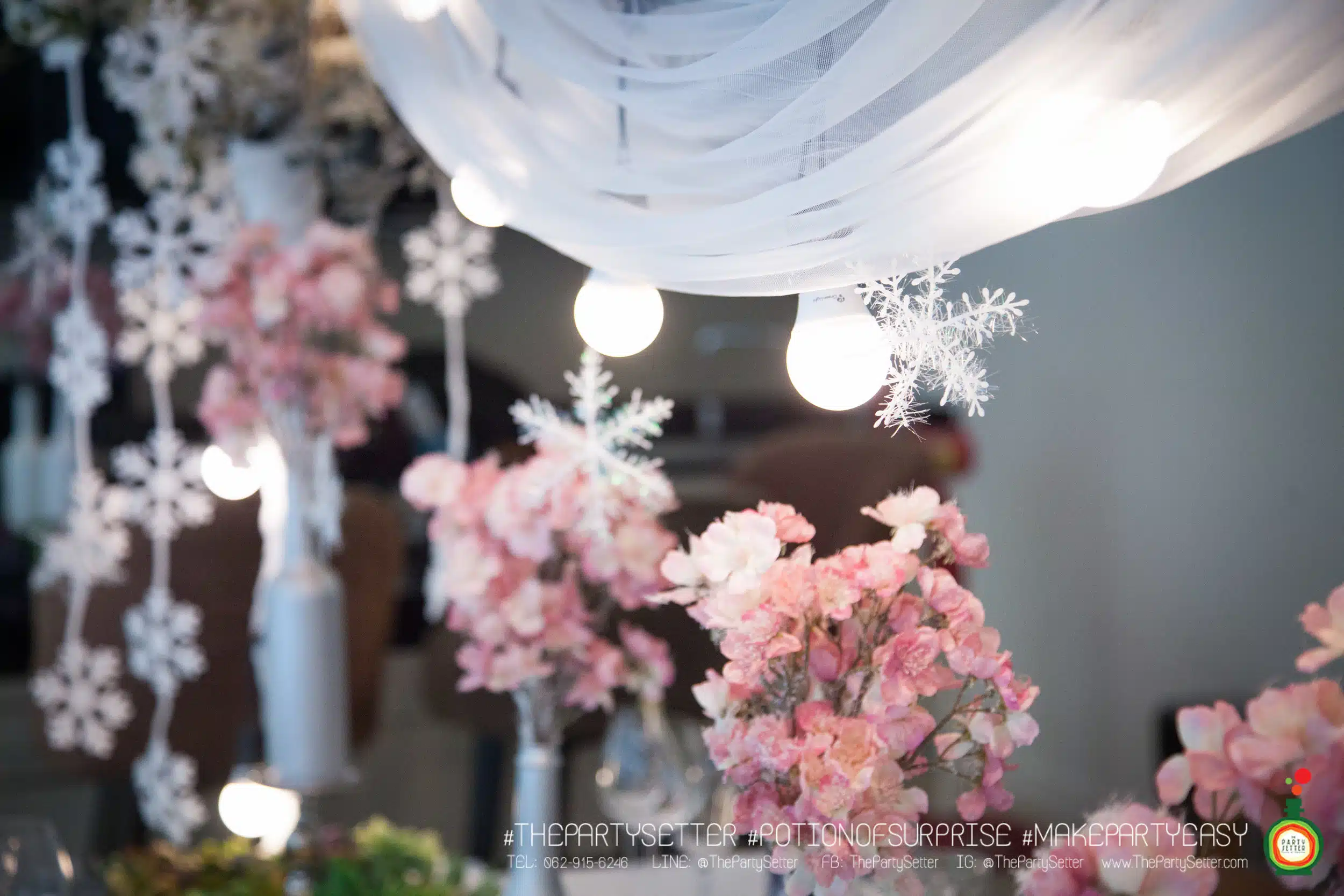 the party setter theme ice princess 30