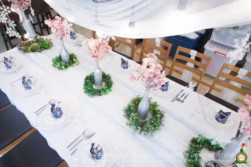the party setter theme ice princess 31