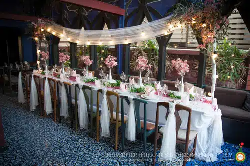 the party setter theme ice princess 33