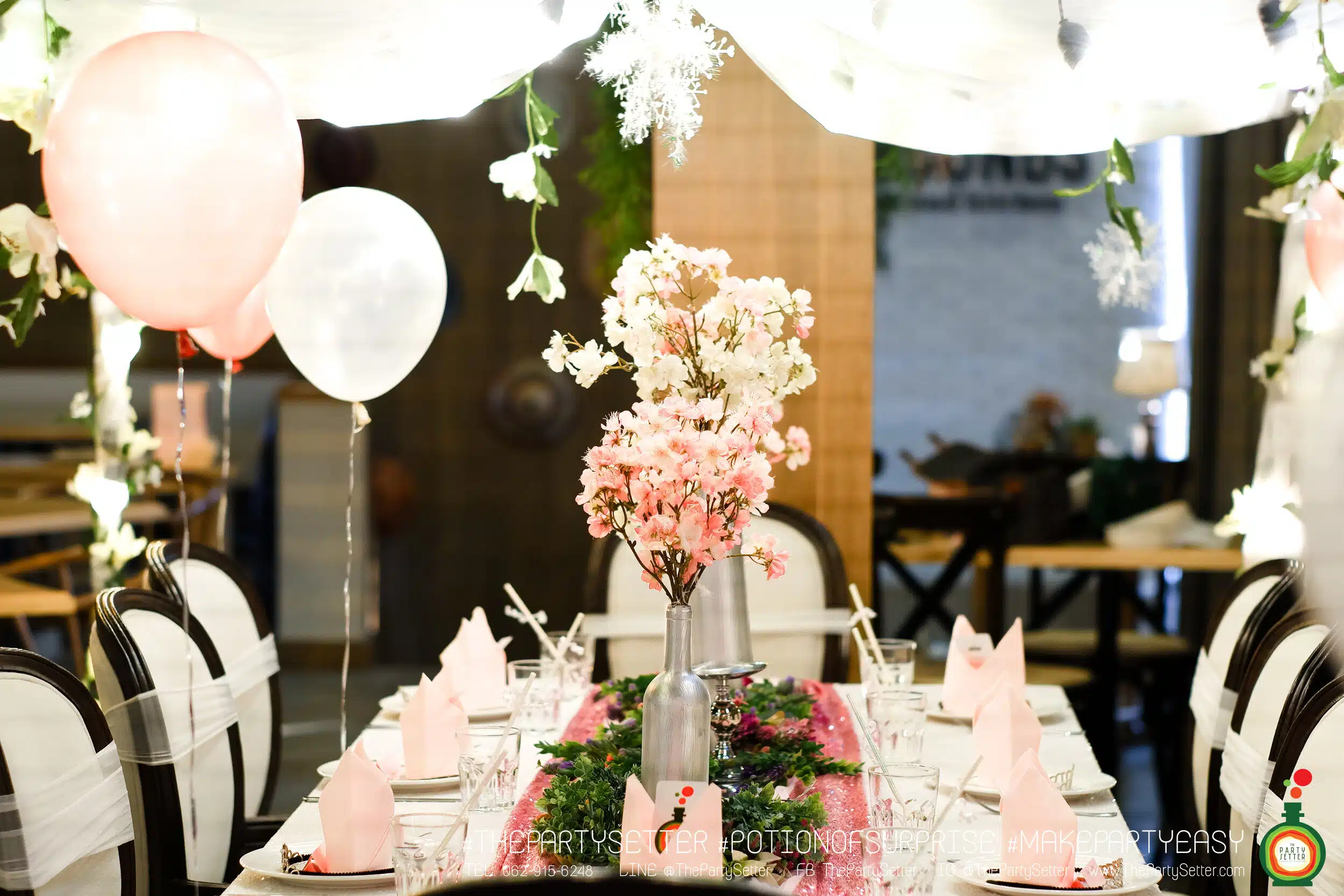 the party setter theme ice princess 5