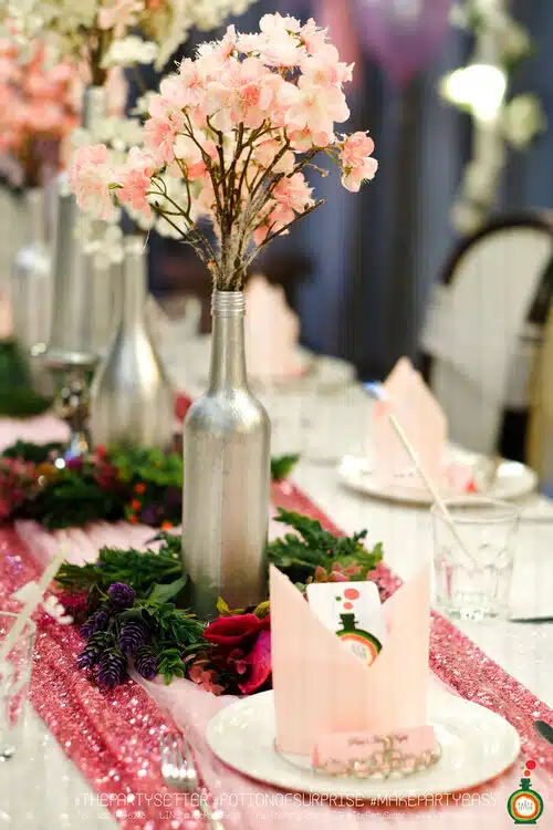 the party setter theme ice princess 6