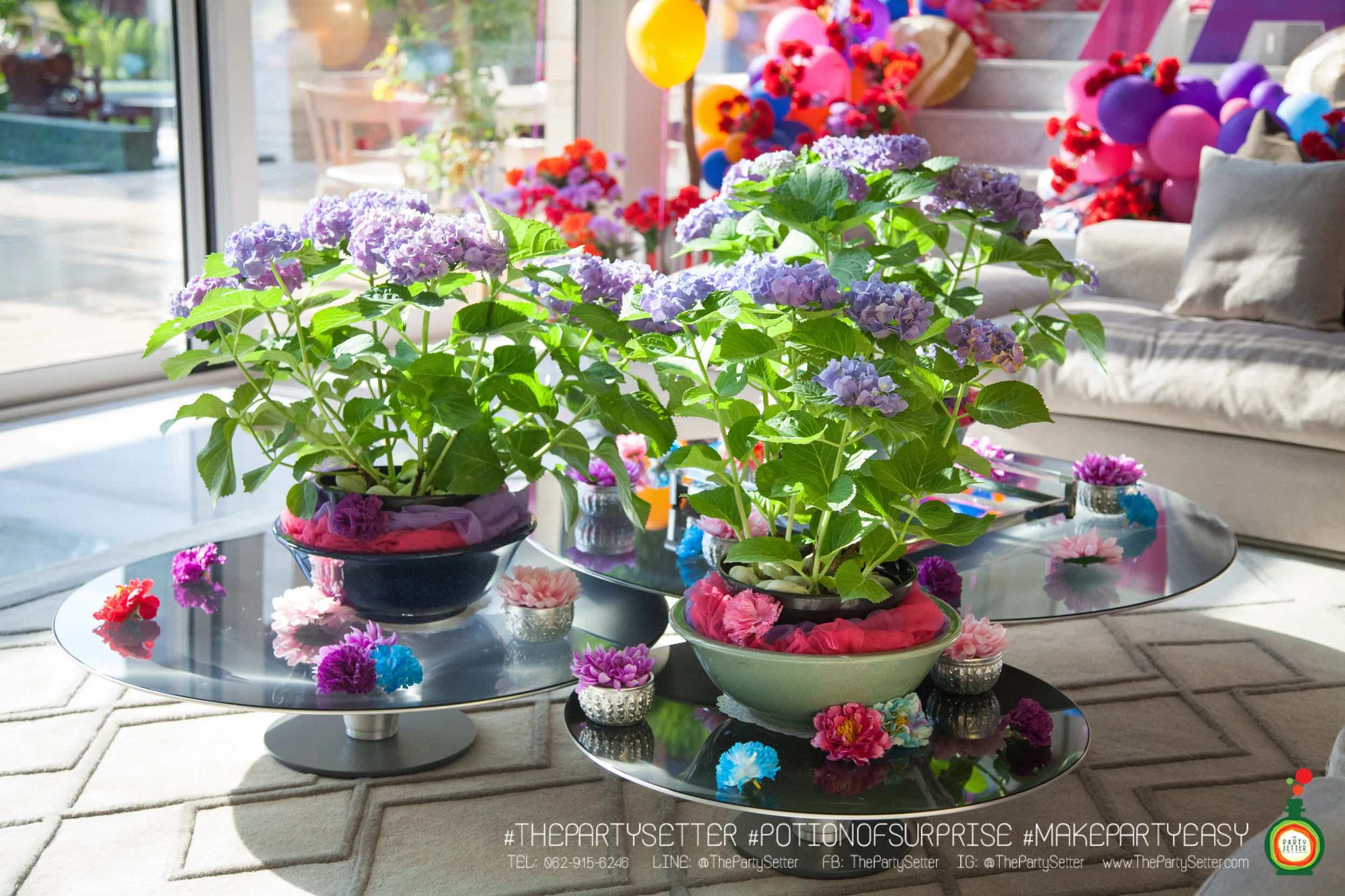 the party setter theme isan odern 5