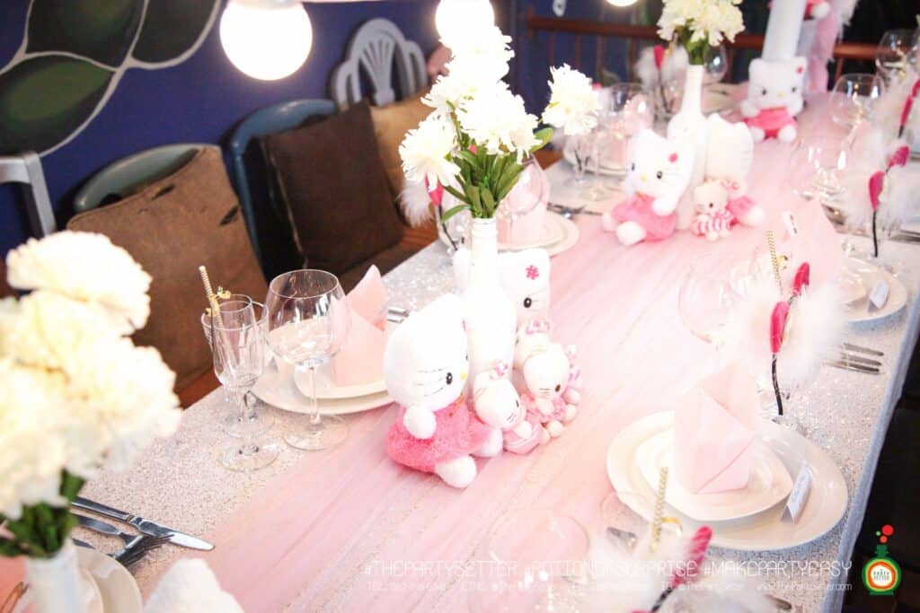 the party setter theme kitty 3