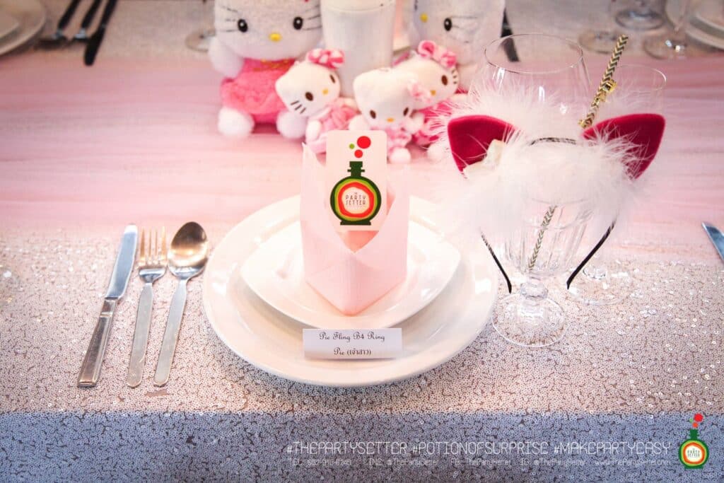 the party setter theme kitty 7