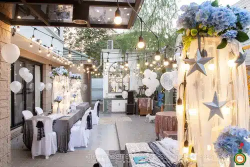thepartysetter populartheme Star 010