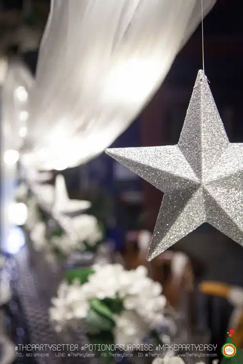 thepartysetter populartheme Star 023