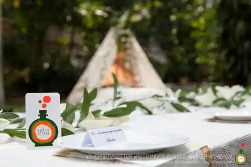 thepartysetter populartheme White Garden 027